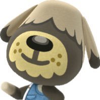 Tabi47091032's profile picture. I like animal crossing