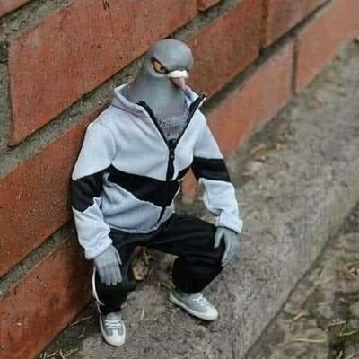 jameslumsden666's profile picture. 