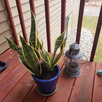 aleigha_kely's profile picture. we all make mistakes