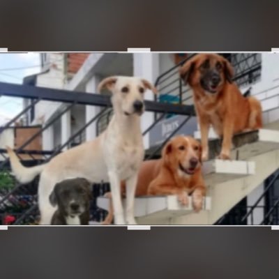 caliche741's profile picture. 