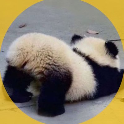 YUKUNandA's profile picture. 辰巳くん◡̈♡ ゆったりのんびり楽しくマイペースに4人の💚💛ゆ〜くん❤️💜を応援してます。ふぉ〜ゆ〜とほぼ同世代のいい大人🍋