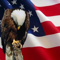 Donna Dee (@talktodonna) 's Twitter Profile