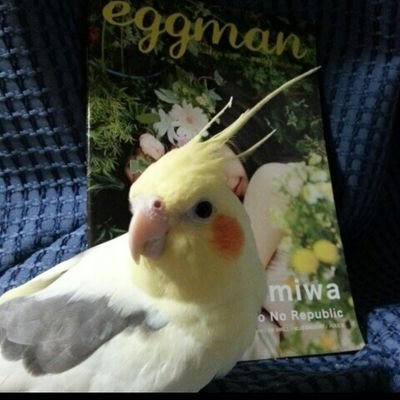 junnjunko's profile picture. 