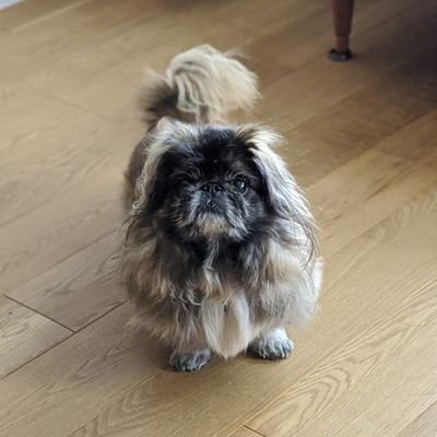 74lieco's profile picture. 自分探し中（Revenue operation manager をやってます）