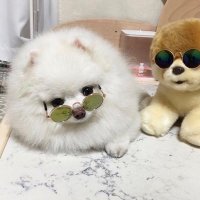 tomate cherry (@rrobbersss) 's Twitter Profile