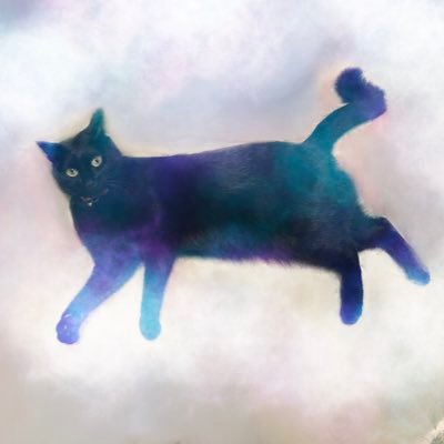 鍵しっぽ黒猫ごまさんのプロフィール画像