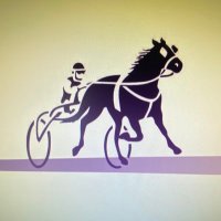 NZ Sires’ Stakes Board (@nzsiresstakes) 's Twitter Profile Photo