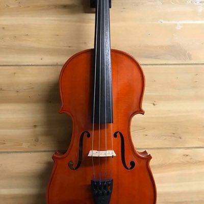 ☘️ Rock Pride 📖Education & Library Lover| Parent to🎻Orchestra Player
