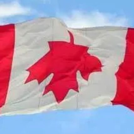 Conservative Canadian mom.
I used to be proud of that.

I don't display my flag upside down because I hate my country; but because I believe we are in DISTRESS!
