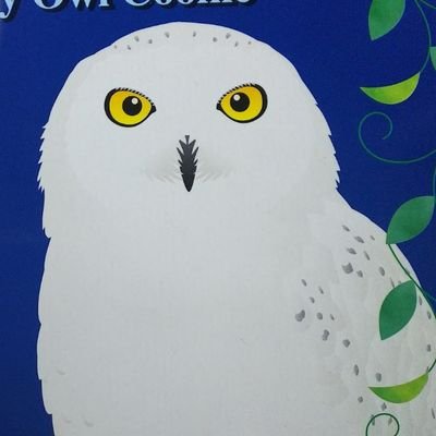 しろふくろう V Twitter 花言葉は色々あるけど元気が出そうな黄色のバラ Tシャツトリニティ 花 バラ Angelic Smile T Co Lrldetsfps