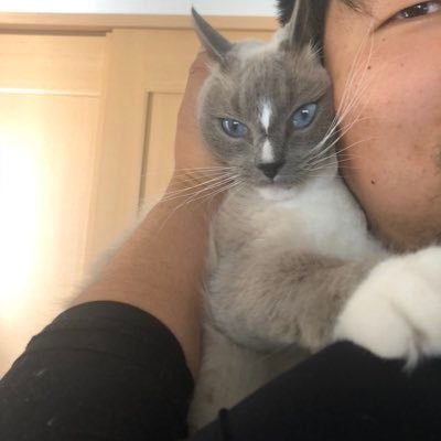 JGSDF0625's profile picture. 多趣味でRT多いです。情報収集用 RT多々 愛車エクストレイル NISSAN大好き。 ホロライブはいいぞおじさん。 会社経営者になりました。 #ch5.9  #サバゲ