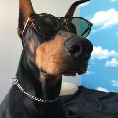 arIUVJcsUozmP4O's profile picture. 