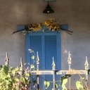 Pam Lemke (she/her) - @lemke_pam - Twitter