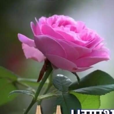 MBPMH18's profile picture. 