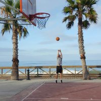 Brandon McDermott (@fiitcoach) 's Twitter Profile