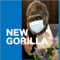 新型勉強ゴリラ (@newgorilla) 's Twitter Profile Photo 新型勉強ゴリラ (@newgorilla) 's Twitter Profile Photo