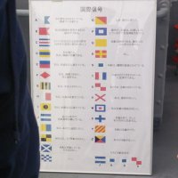 sakai@ (@kyurujthi) Twitter profile photo