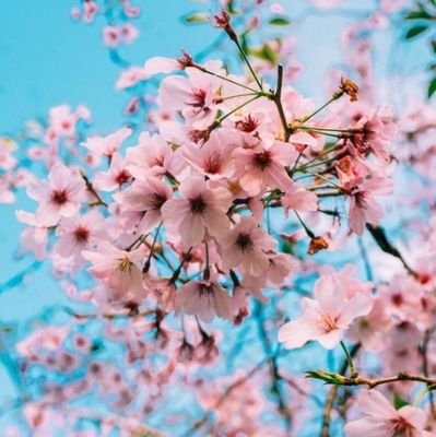 Stop overthinking. Relax and let it go.