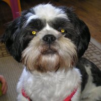 Mal Holmes (@malholmes2) 's Twitter Profile