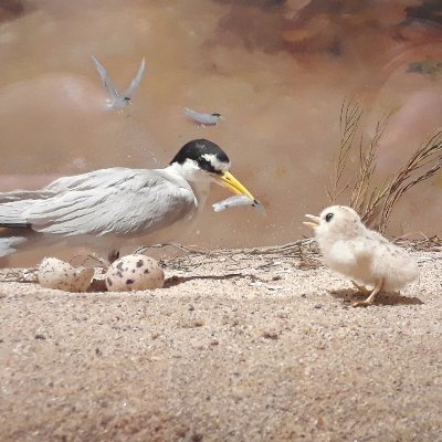 Makes chicken maps, birdwatches, loves her dog. (she/her) https://t.co/TFp9V1Ei7g