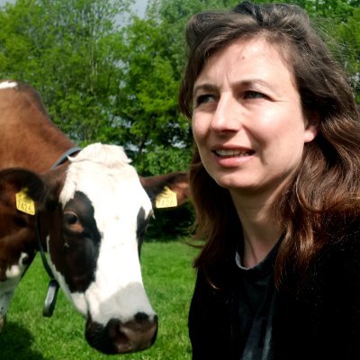 melkveebedrijf midden in het Gooi -                                     educatie - dagbesteding -  kinderboerderij met theehuis