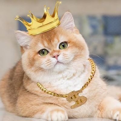āļāļ.-āđāļāđāļāļāļāļ§āļĢāļĢāļāļāđ Only ð