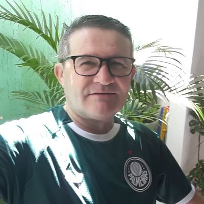 Filhos , Palmeiras , Samba Raiz e Cerveja...