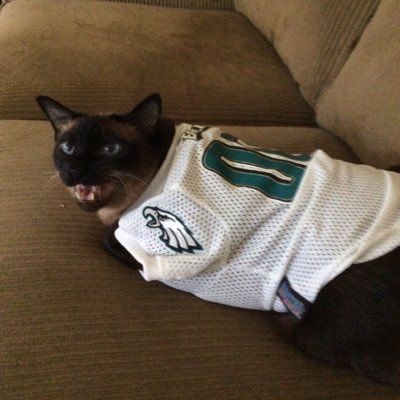 BrockRoger's profile picture. 