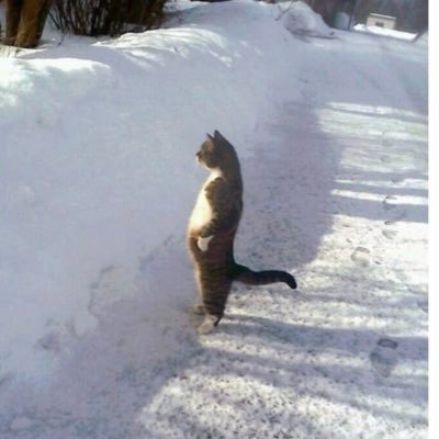 danielB35361055's profile picture. 