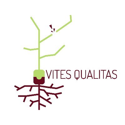 PROJET POUR LA DURABILITÉ ET COMPÉTITIVITÉ DE LA VITICULTURE SUR LE TERRITOIRE
POCTEFA. AMÉLIORATION DE LA LONGÉVITÉ ET DE LA SANTÉ DE LA VIGNE