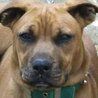 flou06078761's profile picture. míster flou