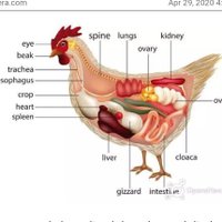 David (@david34895221) 's Twitter Profile