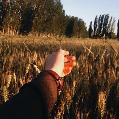 ukhkey's profile picture. Boleh jadi kamu membenci sesuatu padahal ia amat baik bagimu dan boleh jadi pula kamu menyukai sesuatu padahal ia amat buruk bagimu
 -QS. Al-Baqarah: 216 -