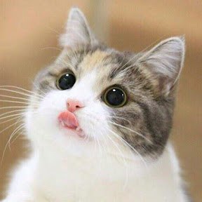 kensanchezudesu's profile picture. The people, and the people alone, are the motive force in the making of world history.