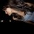 essaminade2014's profile image
