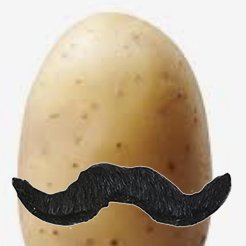 PotatoRamirez's profile picture. don’t feed the black wolf