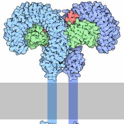 Research centred on infection, cancer and innate immunity.
Opinions are my own, equality should be shown, diversity should be  grown.