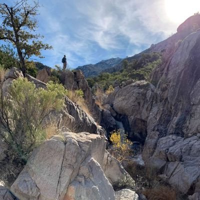 NeilLenneman7's profile picture. 