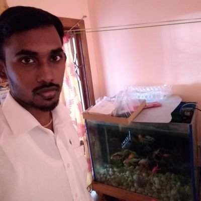 ShubanJ14's profile picture. 