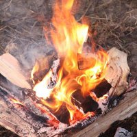 Bonfire (@bonfire41594950) 's Twitter Profile