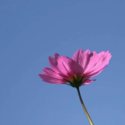 baishg_'s profile picture. 