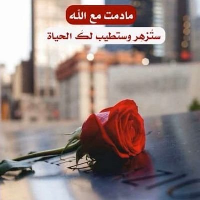 ام الحلوين. 🤗
.
يبقى الأصيل ... أصيل ...
مهما غيرتناا الظروف ..👌🏼🌹
❌