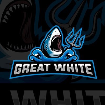 Use Code: GreatWhite https://t.co/y6qQoaU5s4