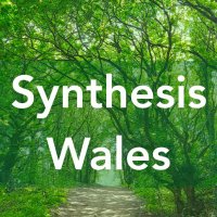 Keith Hackwood(@SynthesisWales) 's Twitter Profile Photo