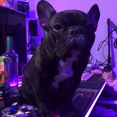 shenzessj's profile picture. 14 y/o fn player|@shenzessj