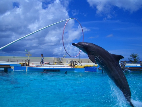 na_mi_pon's profile picture. 