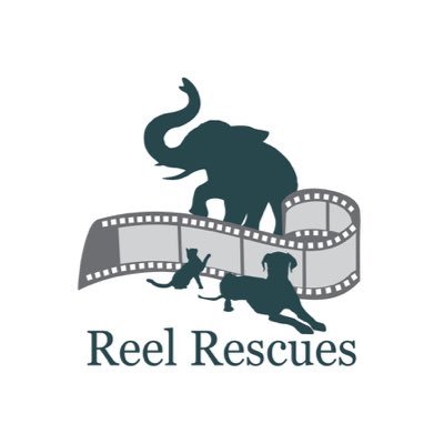 Reel Rescues works with rescue animals in movies, film, commercials and print.