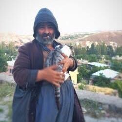 aquyana3's profile picture. الحب اعمى، “pergel”