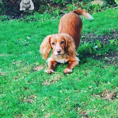 glamglitzuk's profile picture. 