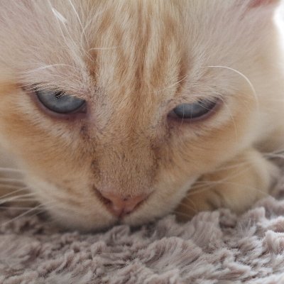 Profile Picture of Marie B & The Rebel Raggie Crew (@MarieBriscombe) on Twitter